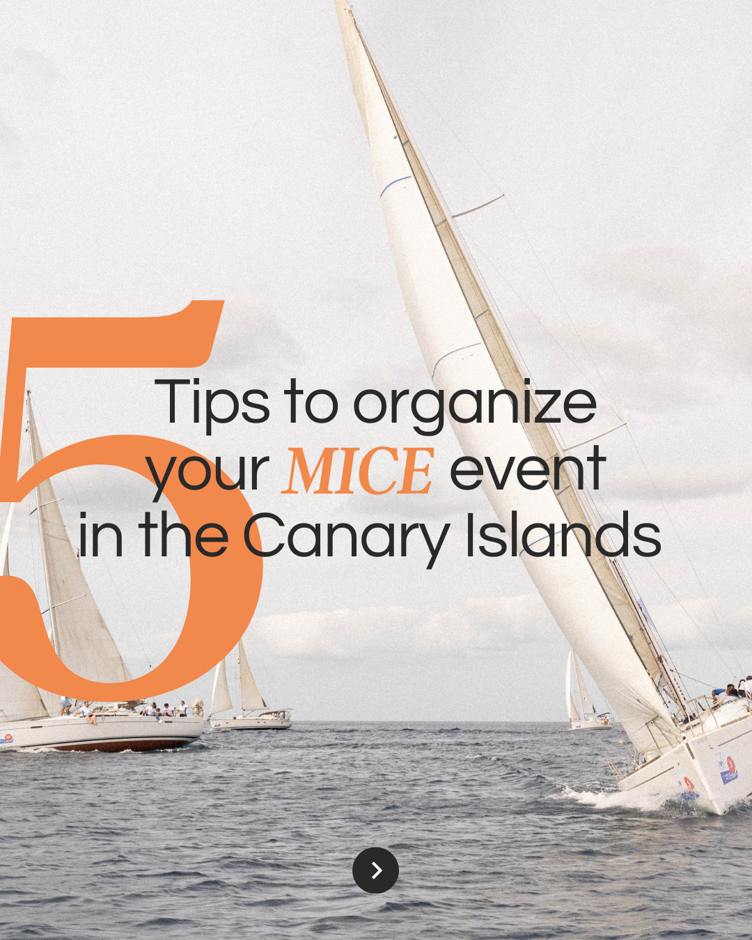 5 tips to organize mice event in the canary islands